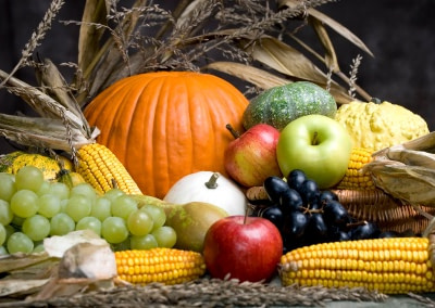 Harvest Festival Celebrations – Steyning & District Churches